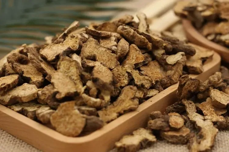 白术与苍术： 兄弟秉性各不同
