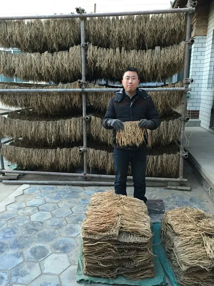 药材市场黑幕揭露:党参篇